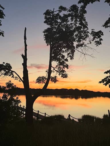 A calm lake reflects a vivid orange and pink sunset, framed by silhouetted trees and tall grasses along the shore.