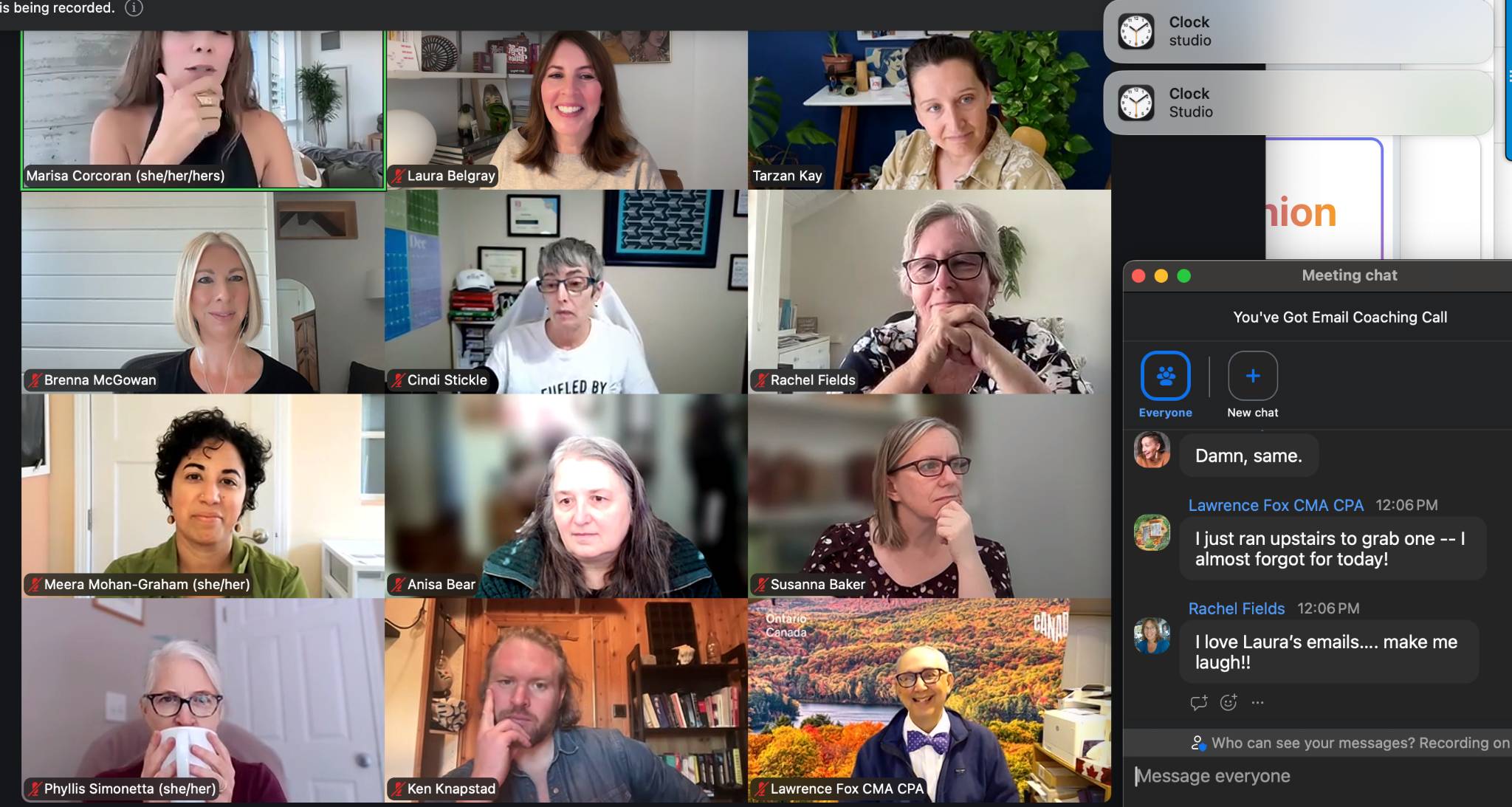 Zoom video call with 12 participants in a grid, all smiling or listening from home offices, during the "You've Got Email Coaching Call." In the chat, Rachel Fields writes, "I love Laura's emails.... make me laugh!!"