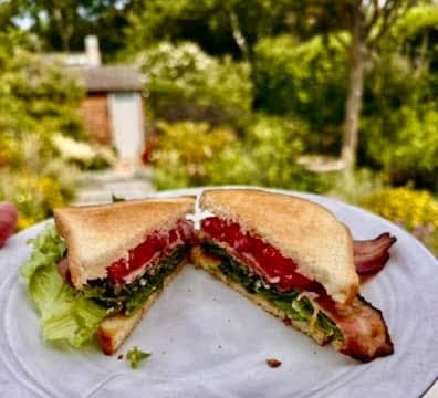 A toasted sandwich filled with bacon, lettuce, and tomato sits on a light gray plate, held up in front of Laura’s lush sunlit backyard garden.