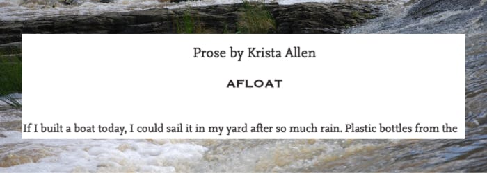 Afloat is Prose by Krista Allen in Sippizine Volume 3