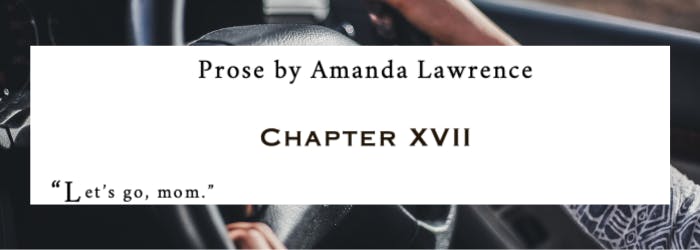 Chapter XVII is Amanda Lawrence's prose in Sippizinee Volume 1