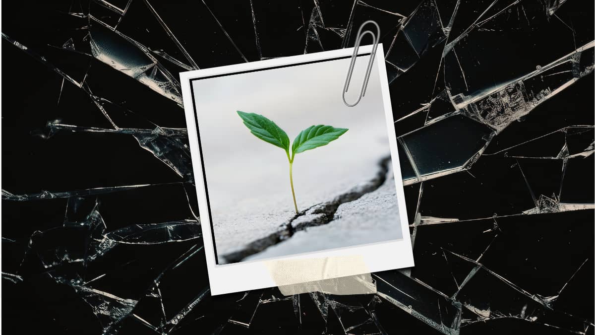what happens when life really gets in the way?