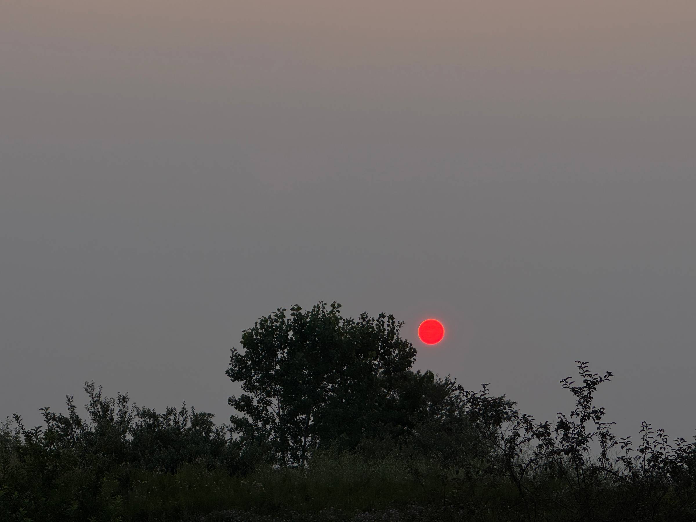 Sunset in the Smoke
