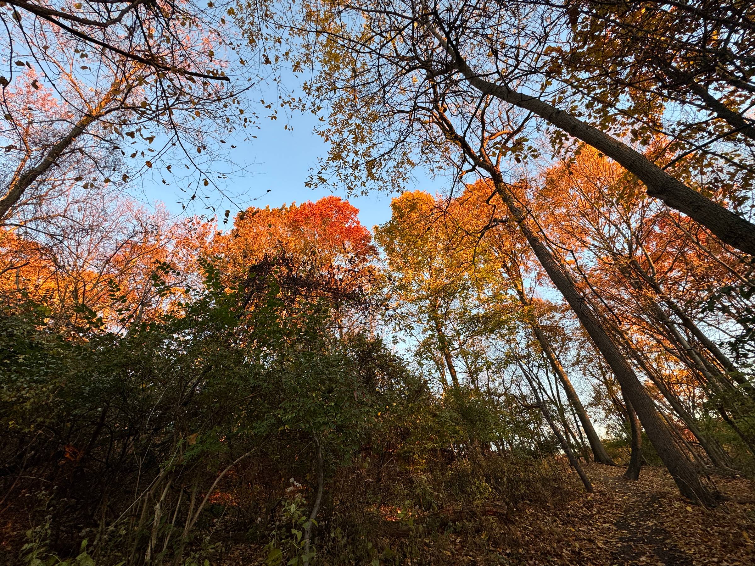 Fall is Upon Us in the Northern Hemisphere