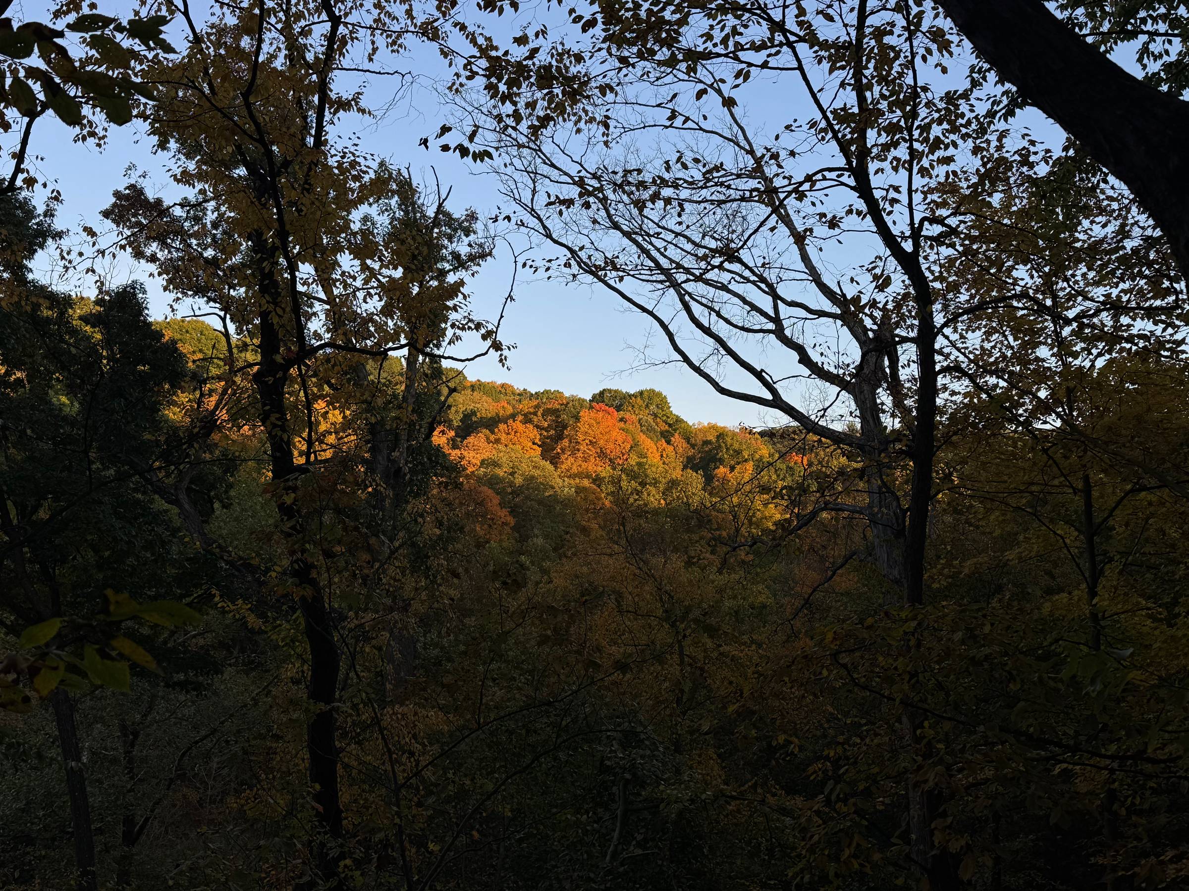 Changing of the Seasons
