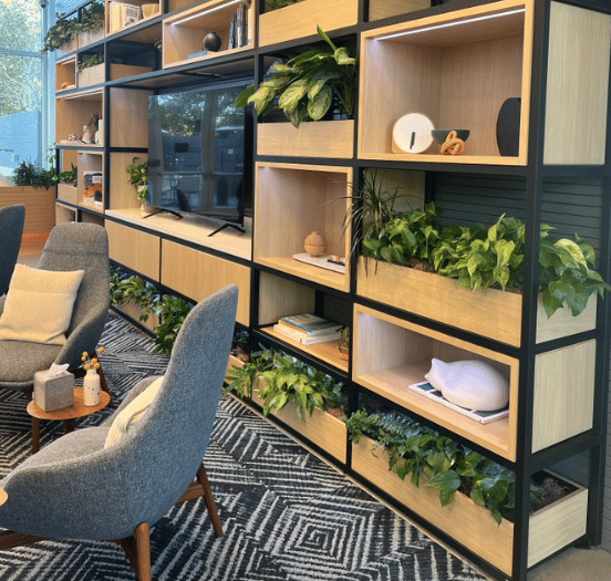 inside the GooglePlex showing a comfortable seating area with chairs and a side table, light wood bookshelves with a clock, greenery and ceramic cat.