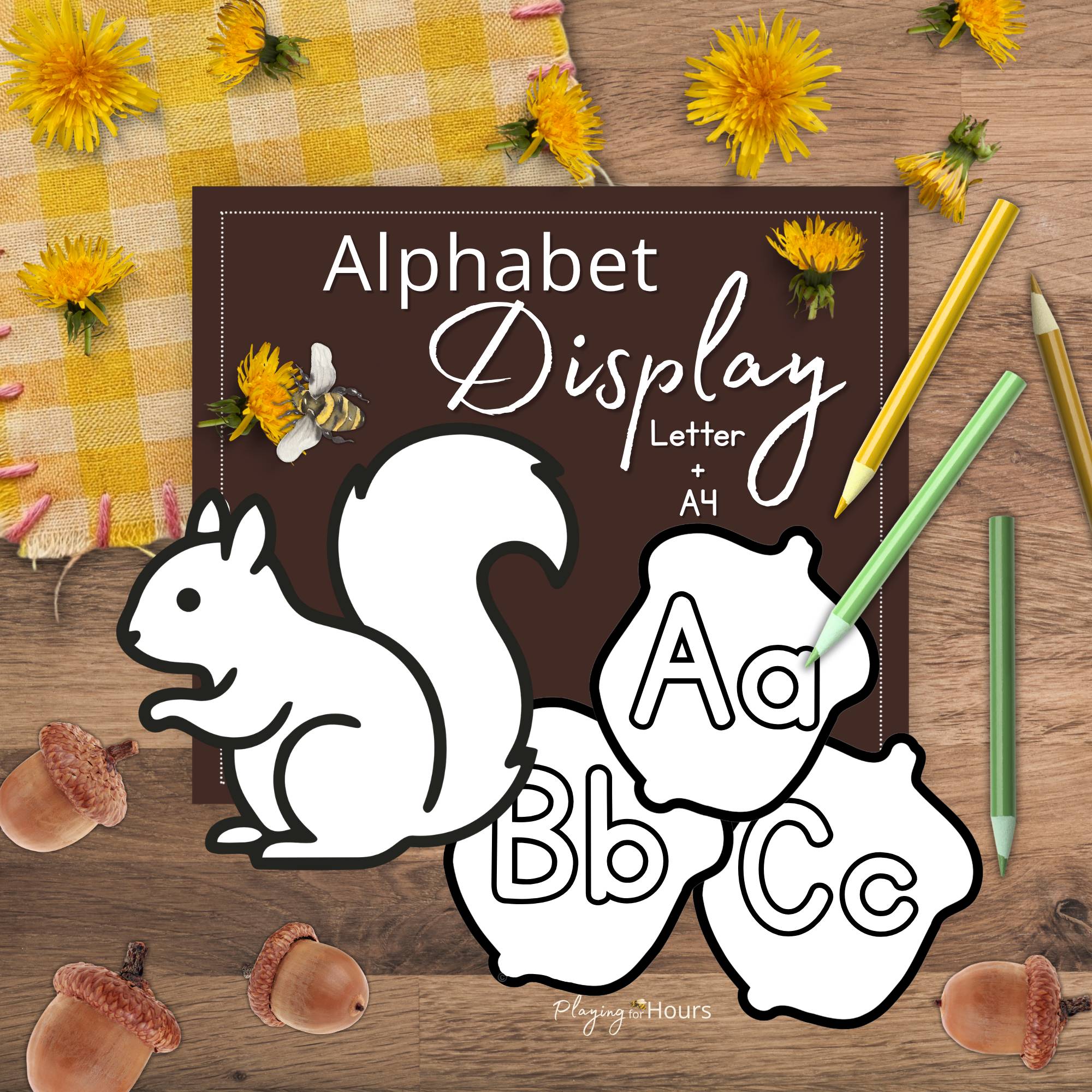 Acorn Alphabet Wall Display