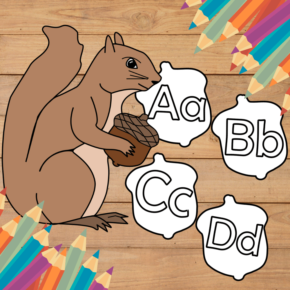 Acorn Alphabet Wall Display