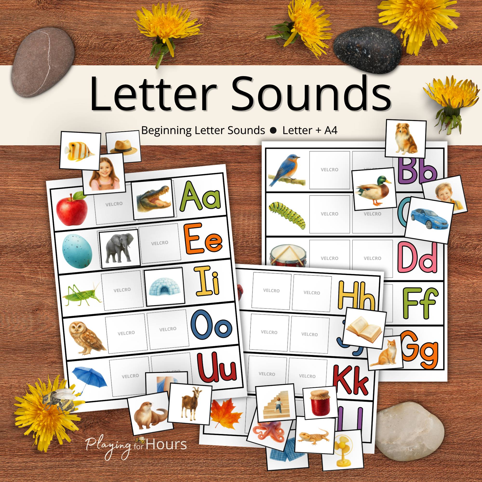 Beginning Letter Sounds Matching