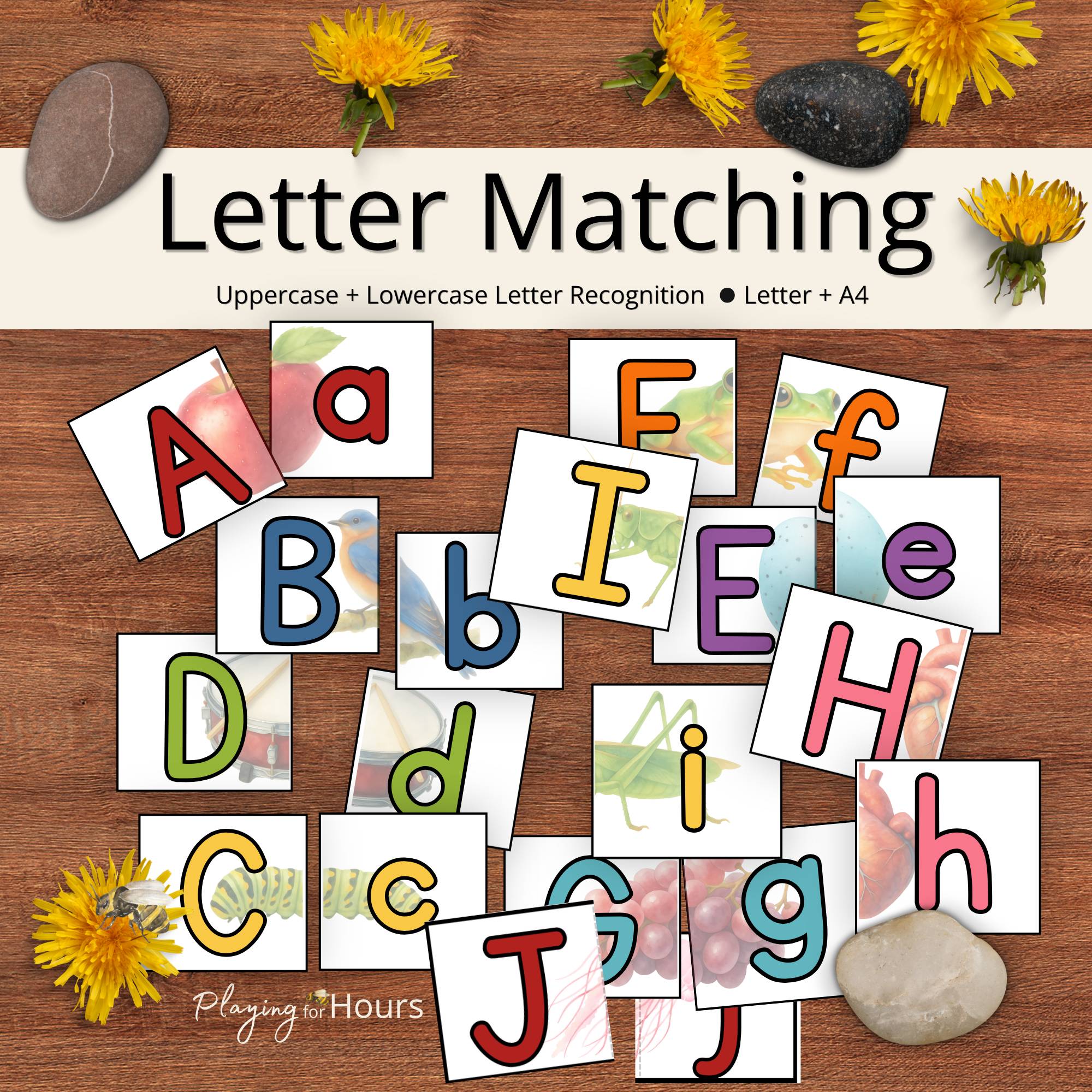 Alphabet Letter Matching