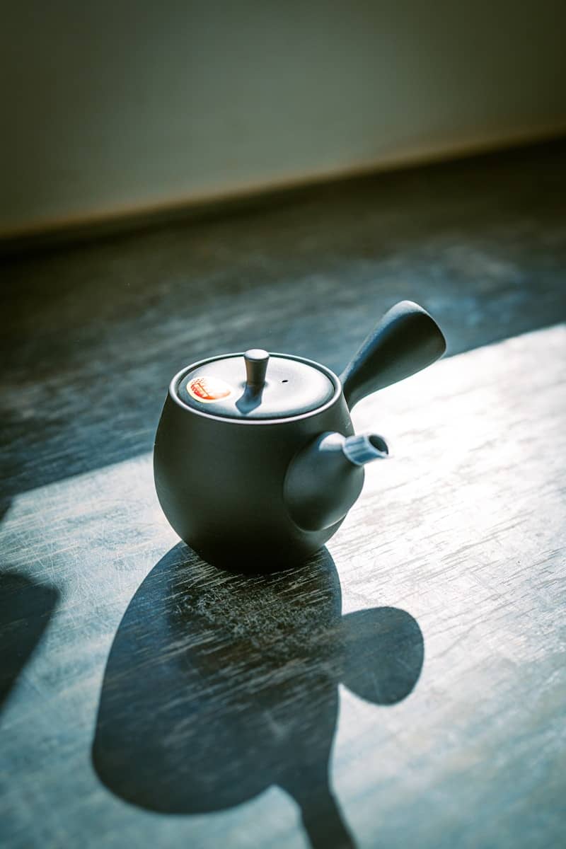 A stylish dark teapot illuminated by sunlight.