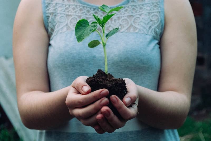 A woman holding a seedling