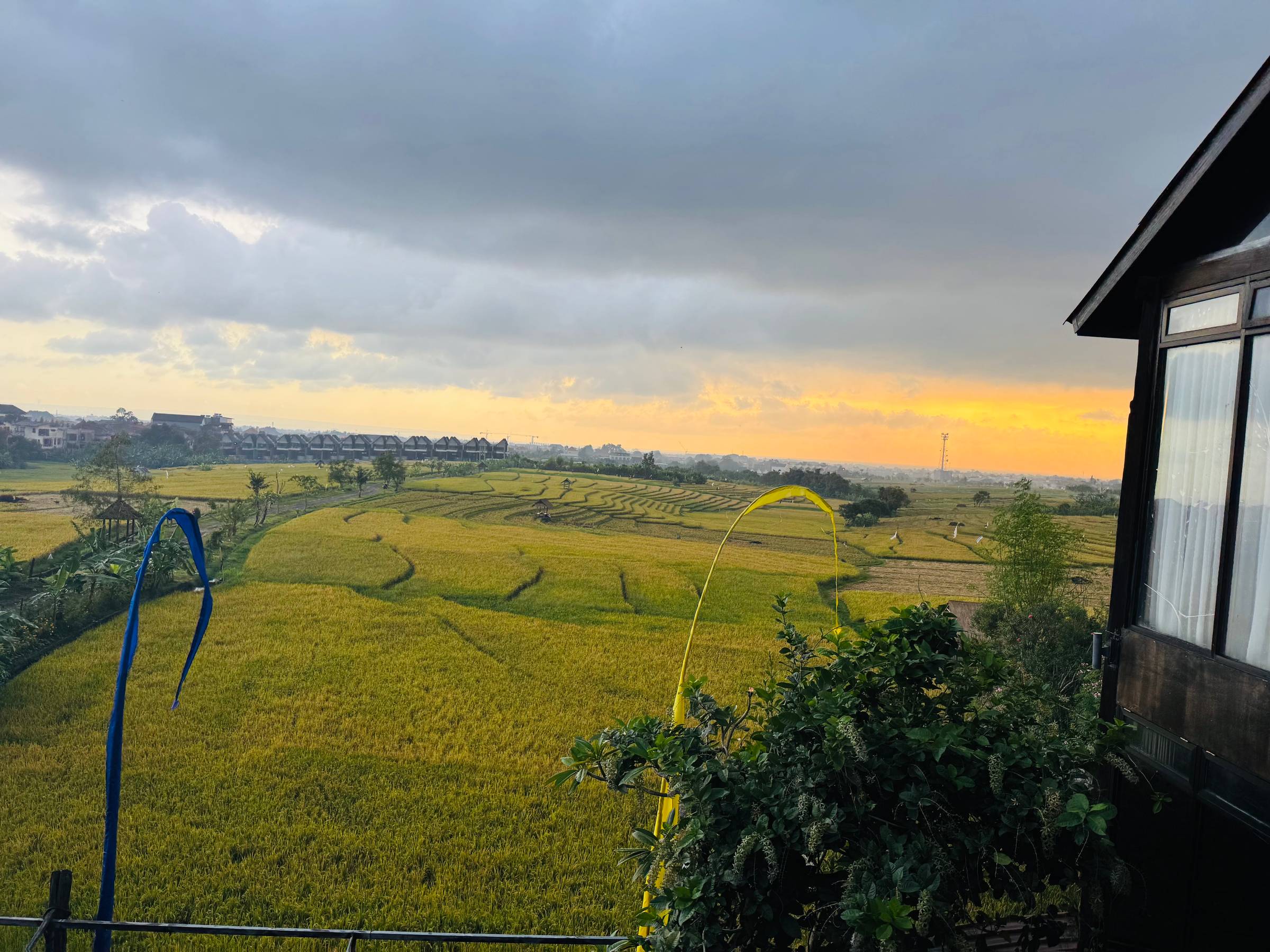 ??? Canggu ????