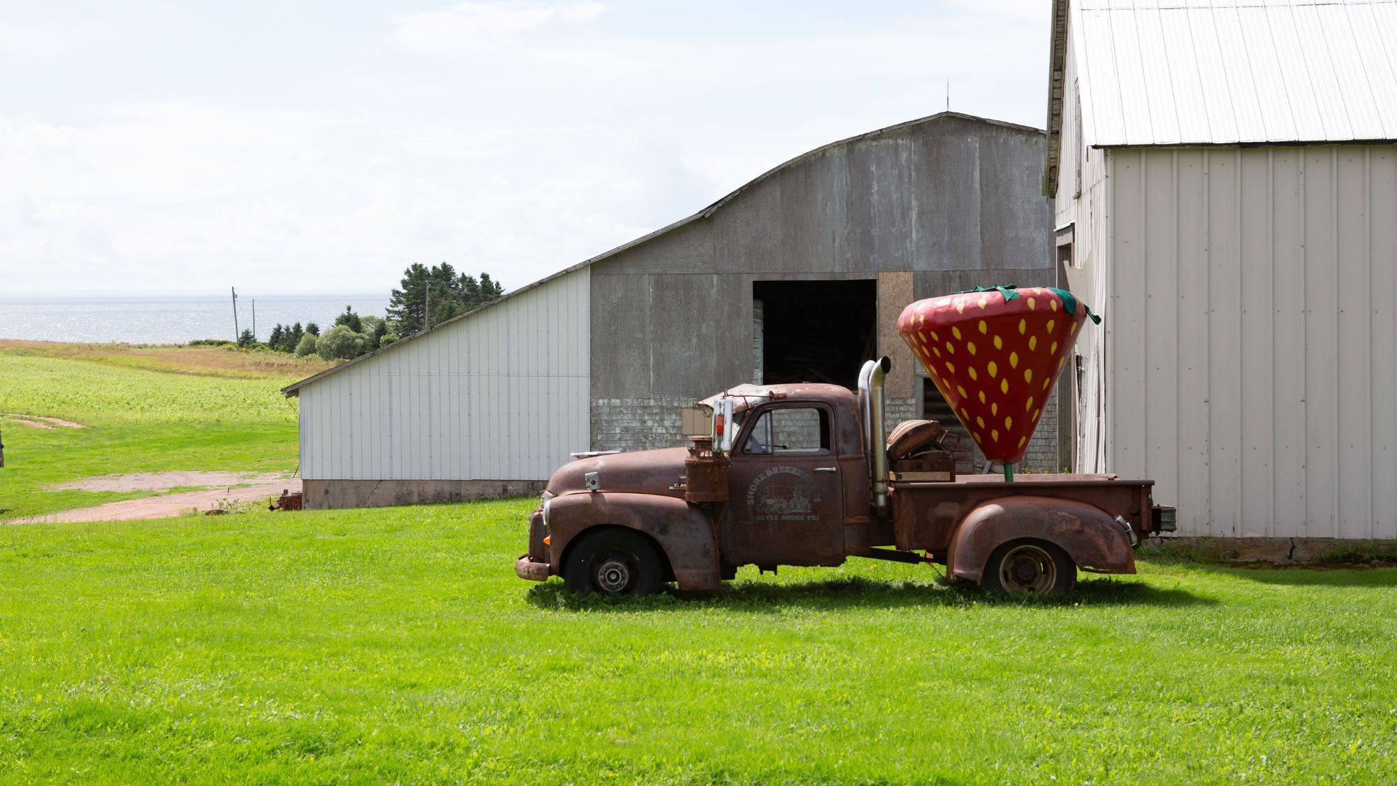 Old Farm Truck with a Giant Strawberry on it