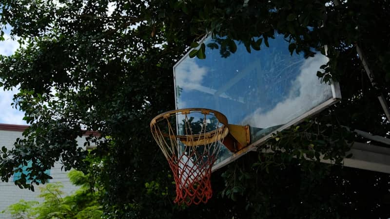 Basketball hoop and backboard surrounded by trees
