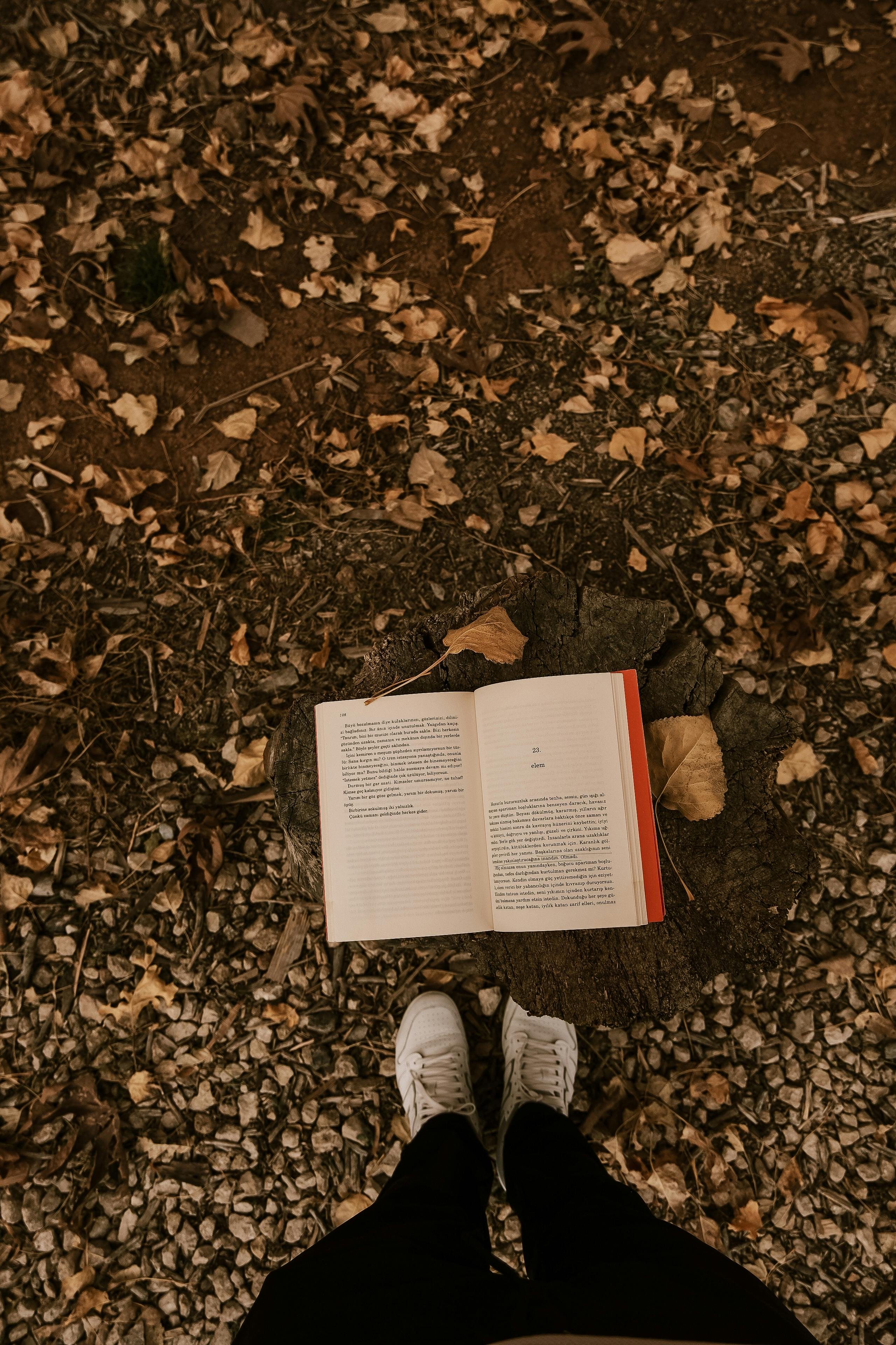 book on the ground surrounded by autumn leaves