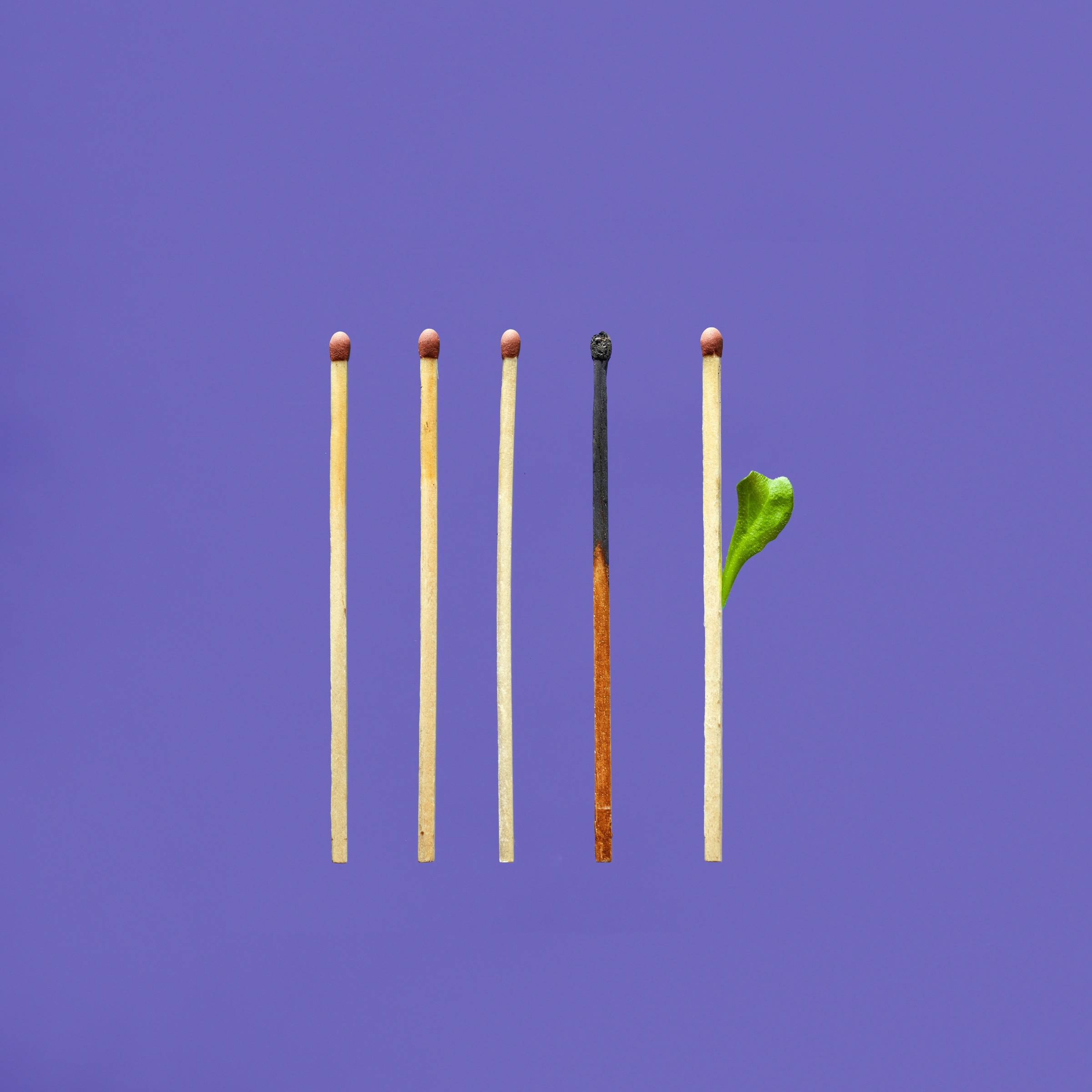 3 unused matches, one burnt match, one match with a leaf on it