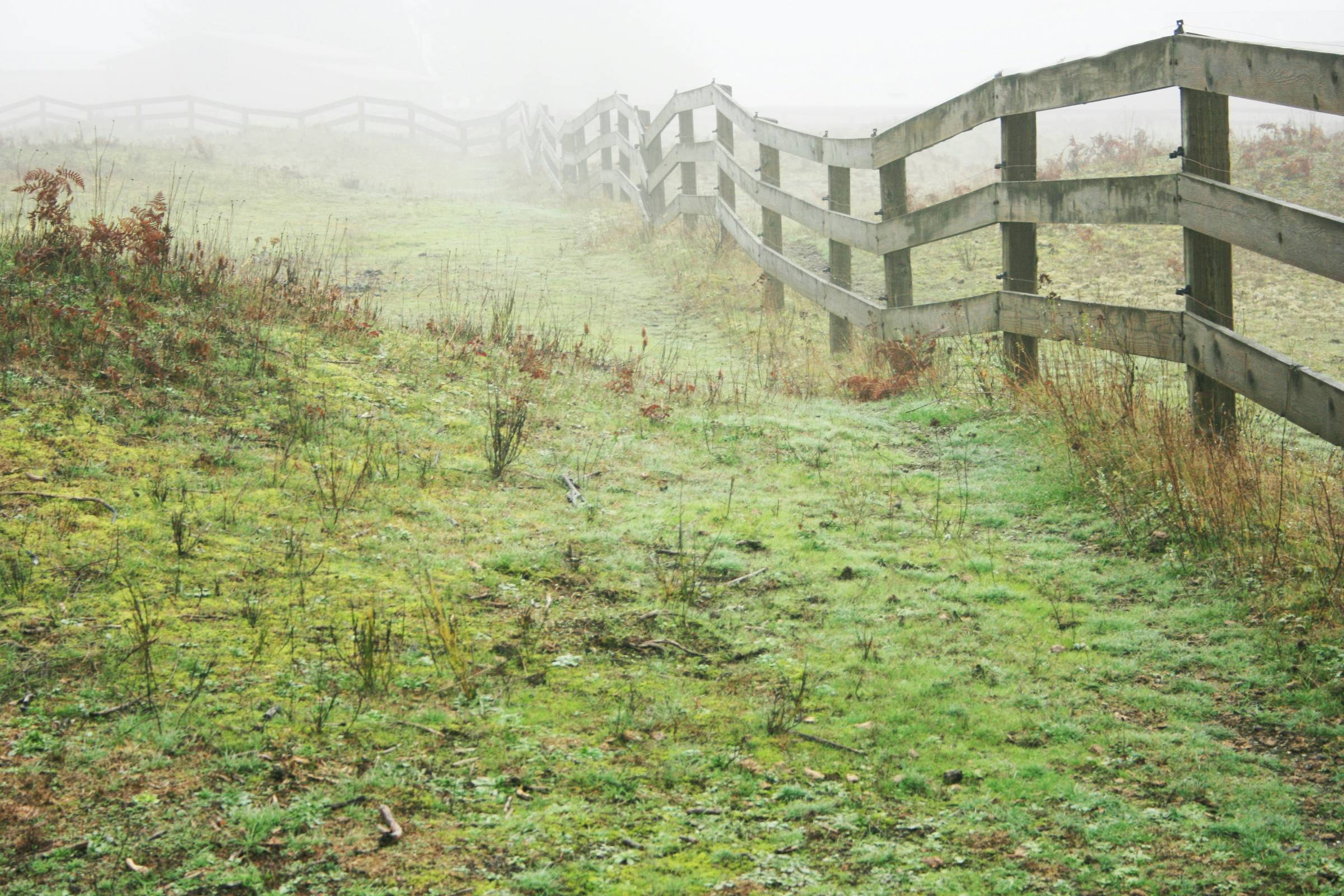 a wooden fence in a green foggy field