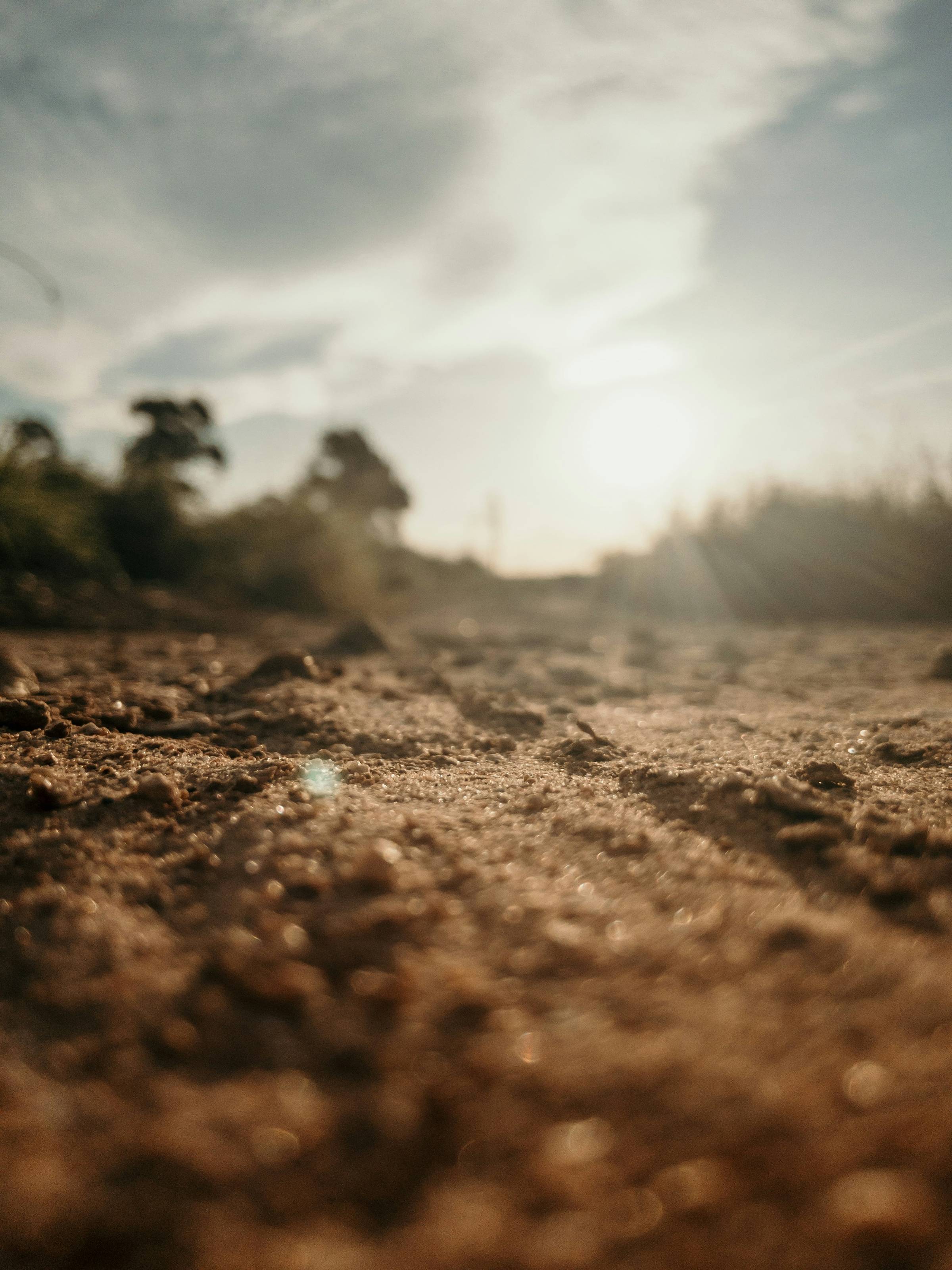 brown soil under a sunny sky