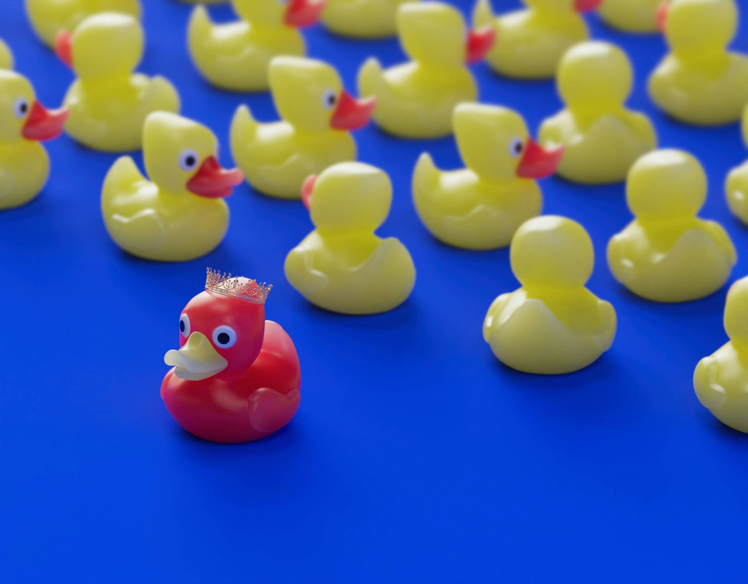 red rubber duck surrounded by yellow rubber ducks on a blue background