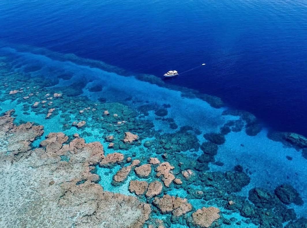 Cairns Spearfishing Charter