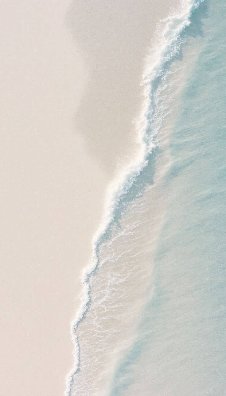 Moss hangs from tree branches.