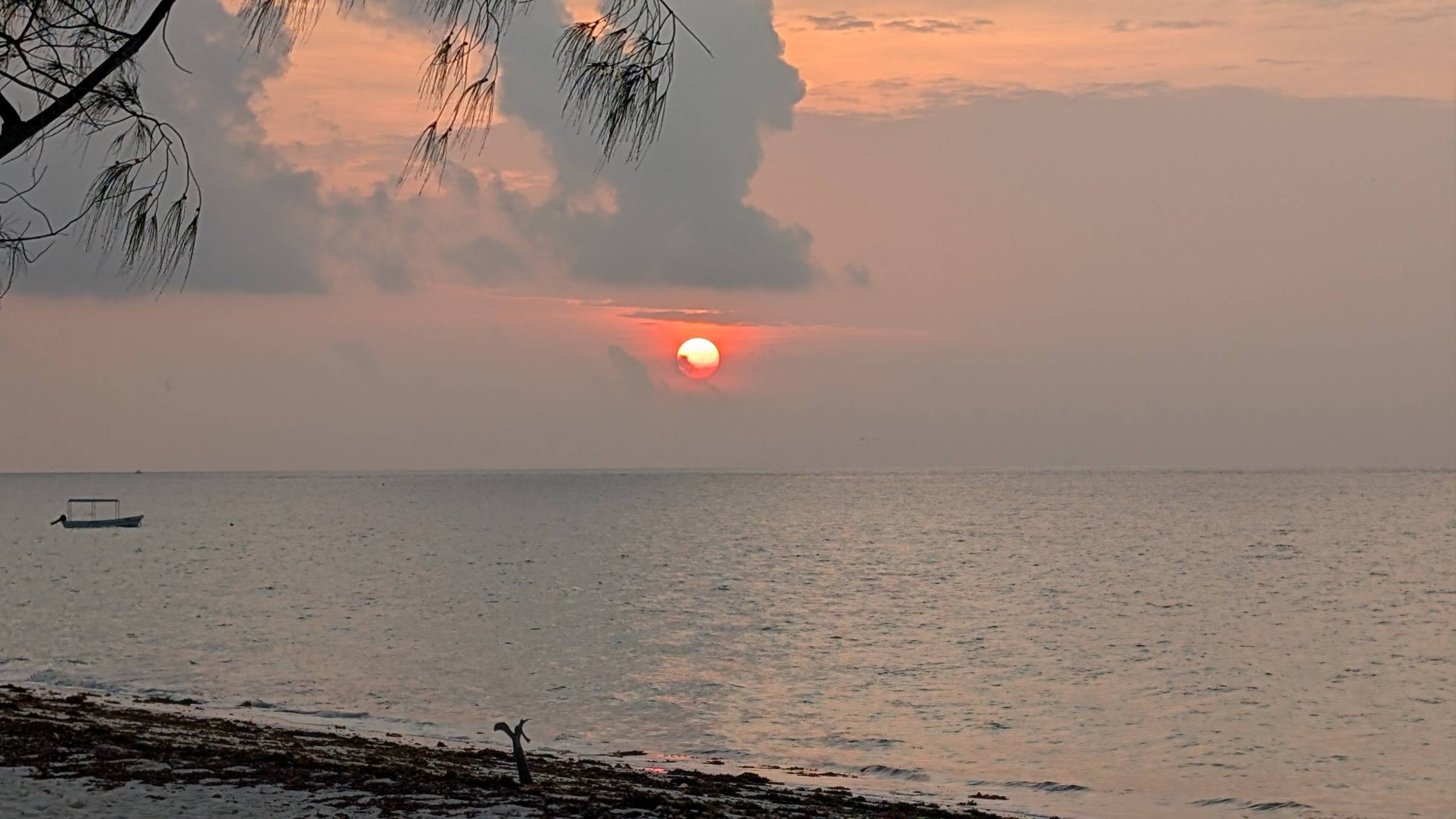 A soft sunrise over Watamu Beach, with warm orange and pink light reflecting on calm ocean water. A small boat floats near the shore, framed by hanging branches, driftwood, and seaweed along the sand. The scene feels peaceful, spacious, and full of possib