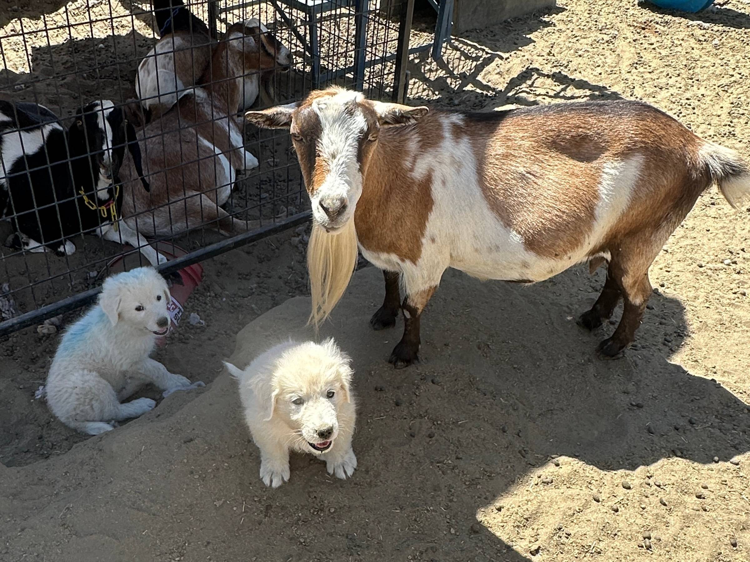 Back to My Farm I Go!