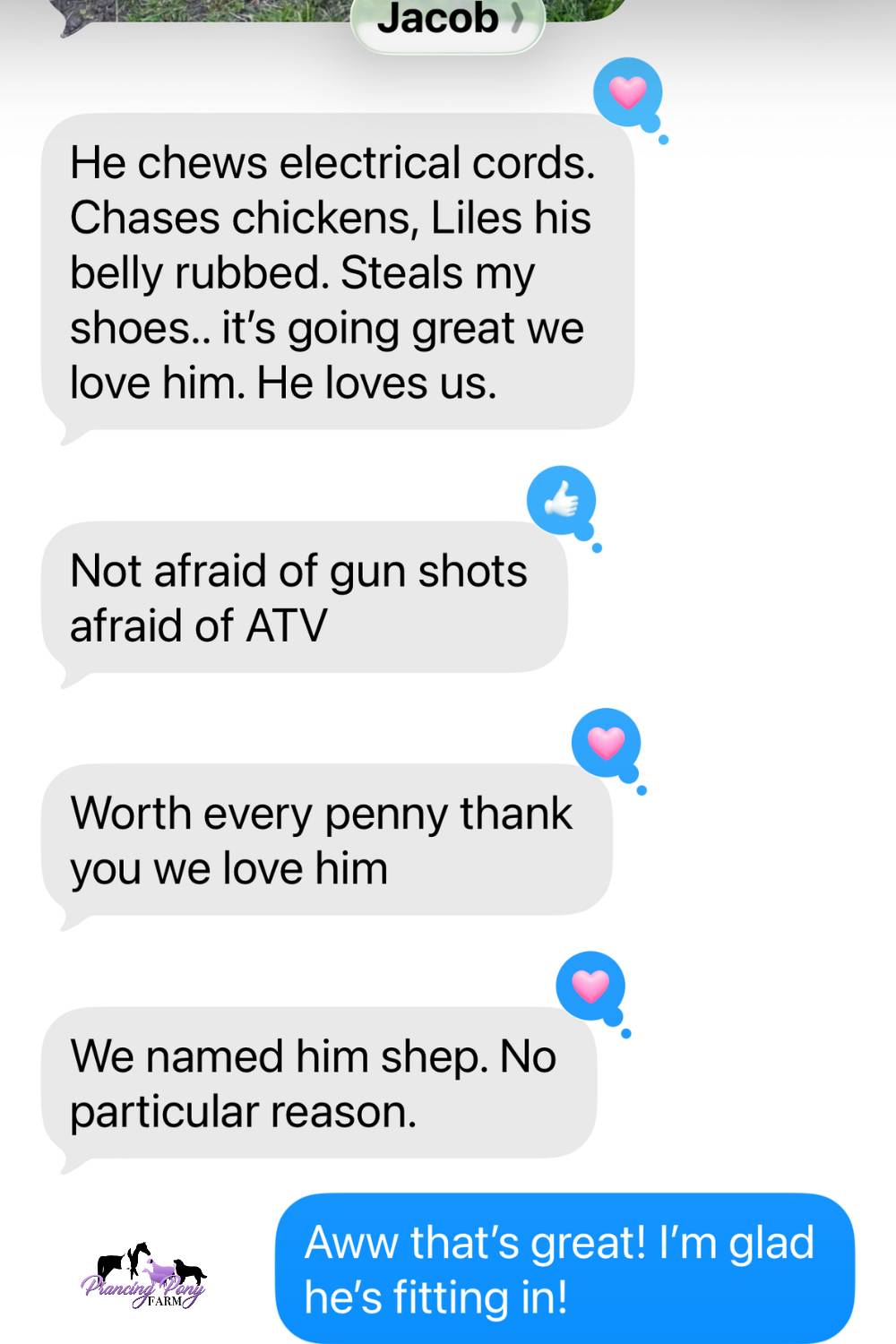 email He almost bought cheaper. Then she told him he asked too many questions.