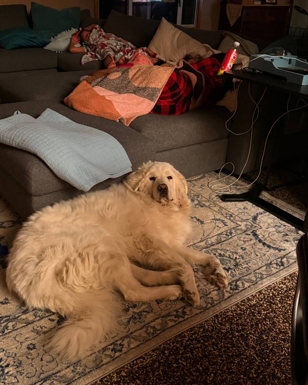 email 🐐 The bucks had other plans