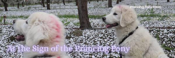 5amavi6UYM6mTRzfsguW9z 🐐 The bucks had other plans