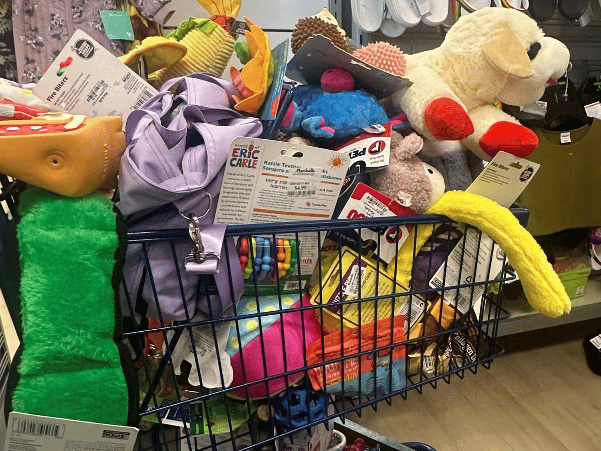 638CpYCcrdiUJeRLWnVqUA Best Toys and Enrichment Ideas for Livestock Guardian Dog Puppies