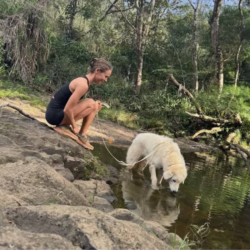 email 🌺 Sarah tried 3 popular training methods. Here's what actually worked.