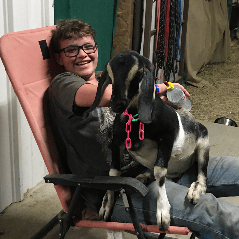 A young boy with a Mini Nubian goat sitting in his lap