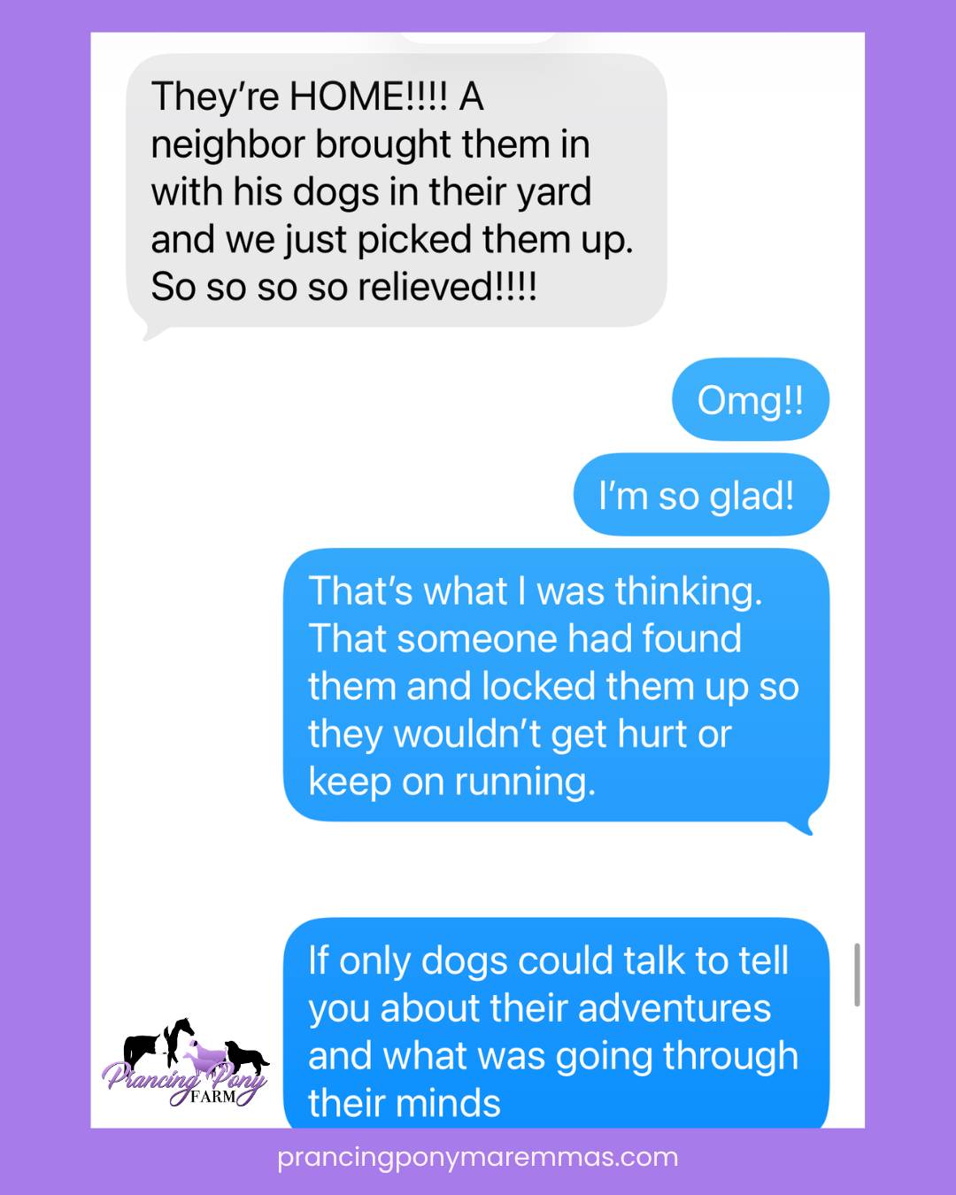 email What Breeder Support Really Looks Like: One Sunday, Three Clients.