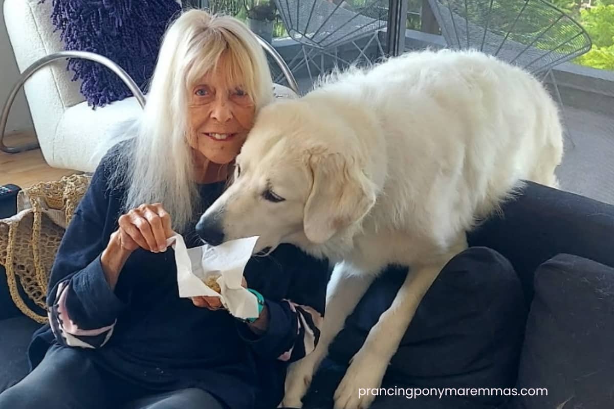 email Maremma Sheepdog: Working Dog, Companion, or Both?