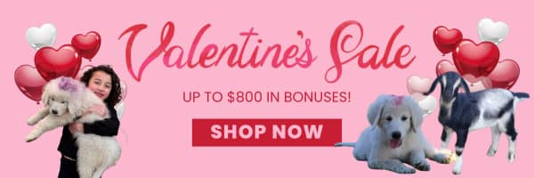 aDsGFy1N7dAVcEHtEwdoSM 💕Love Your Livestock: Valentine's LGD Bonuses Through Feb 14