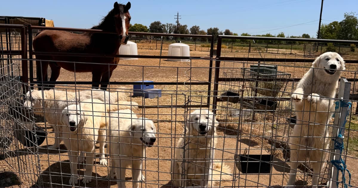 email 🐐 The bucks had other plans