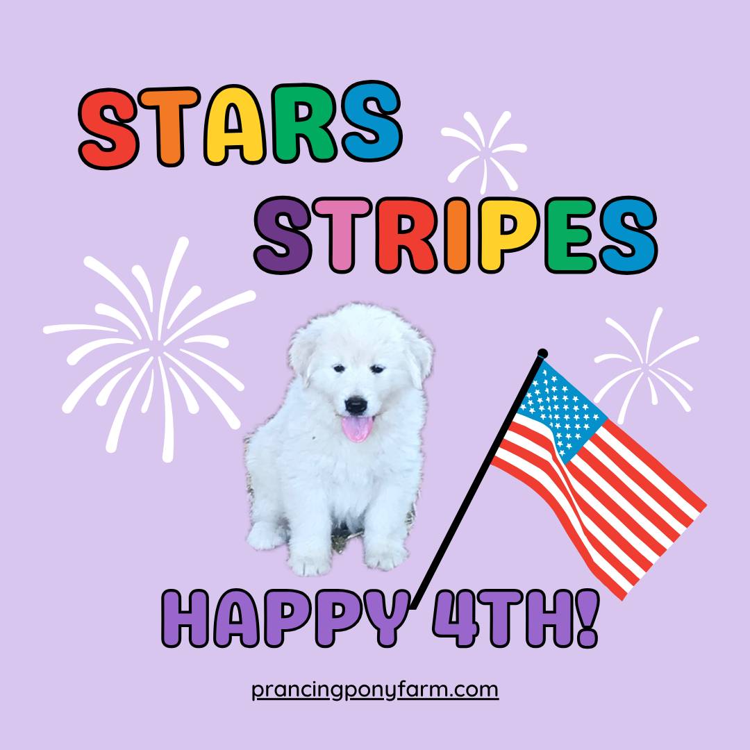 email Before the fireworks start — a note from Kim