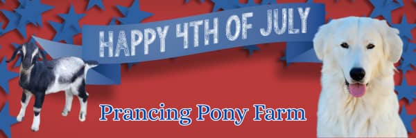 iYAt1FkquNMXcjvWt7gkzv Preparing Your Livestock Guardian Dog for 4th of July Fireworks