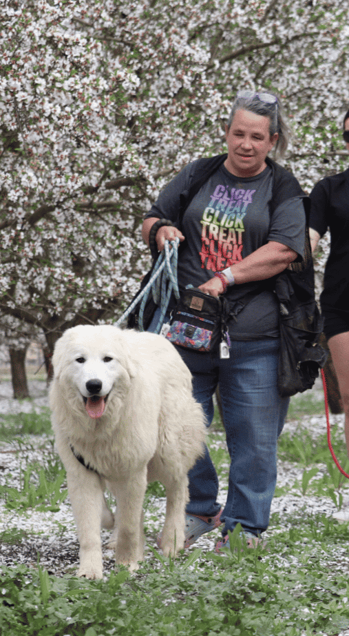 Livestock Guardian Dog Consultation