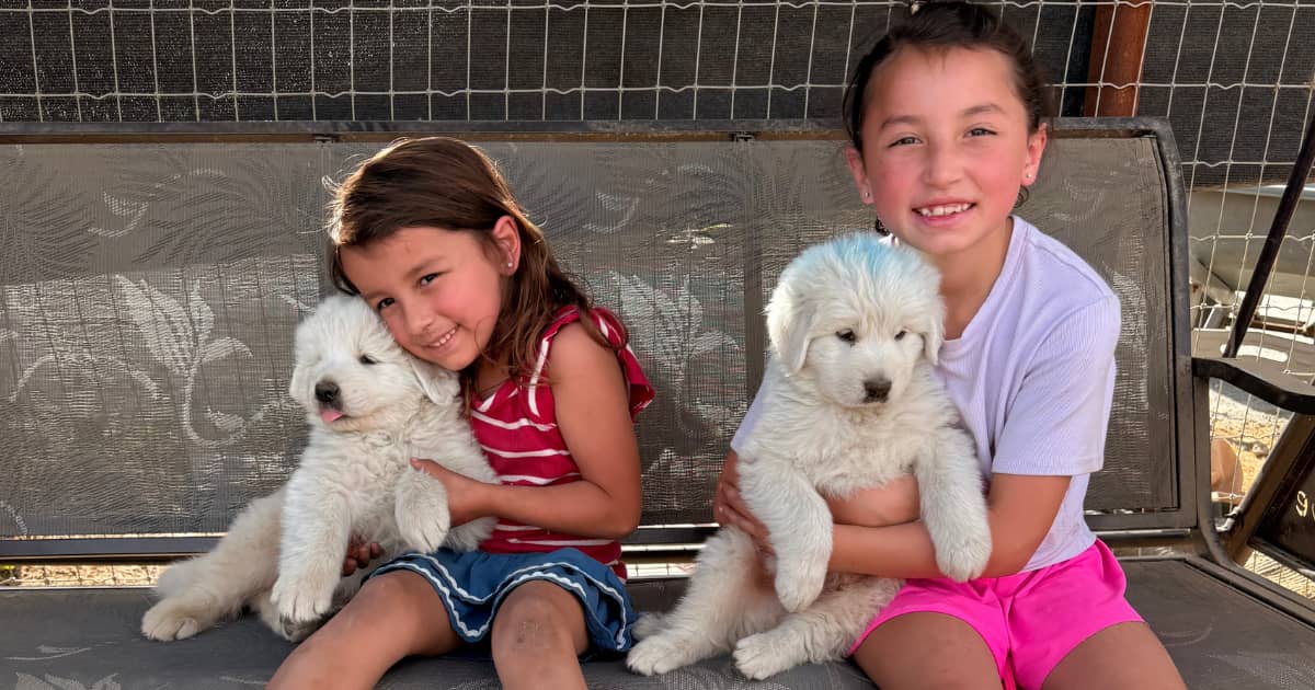 email 🐐 The bucks had other plans