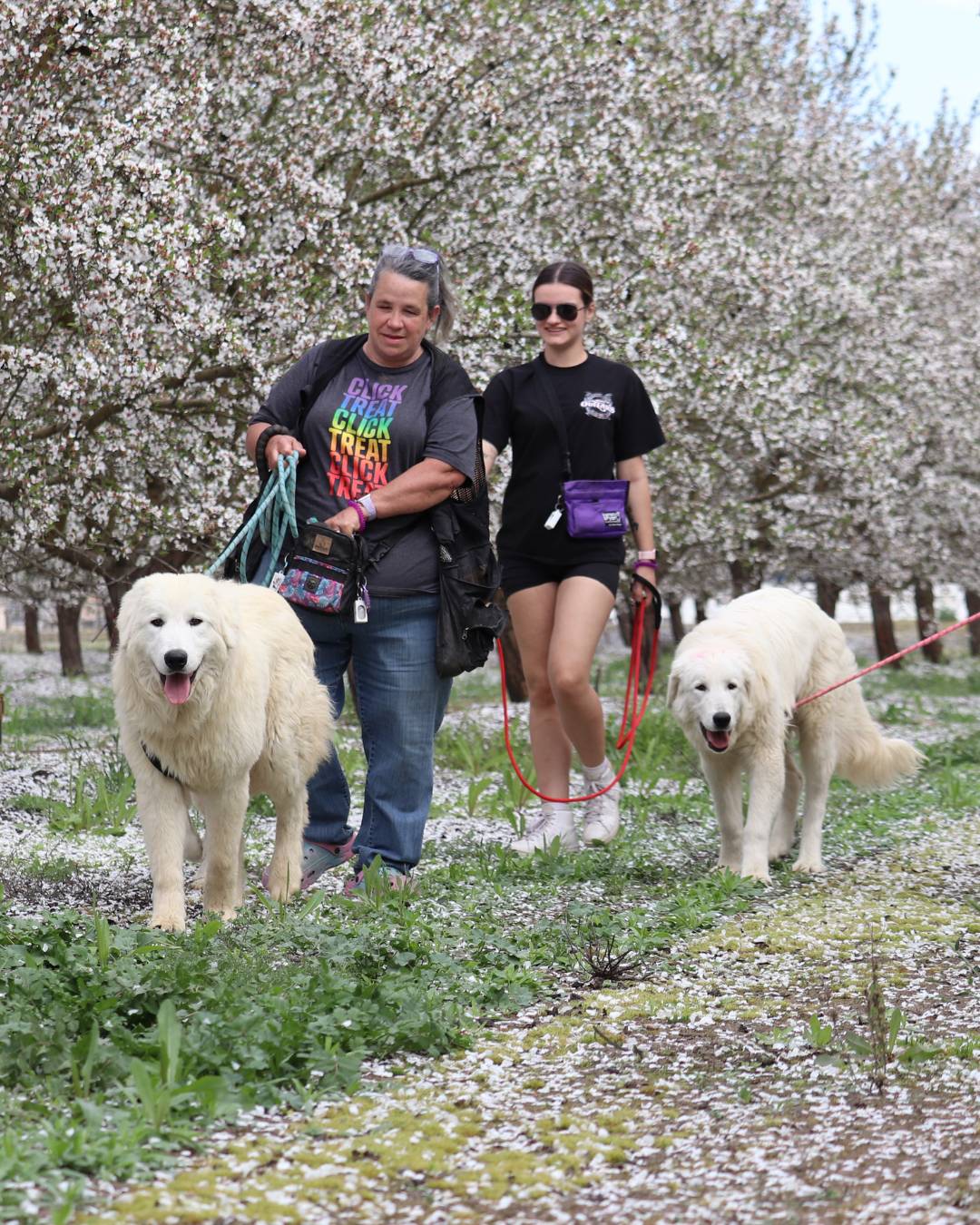 n5umFkcr2Ked87fHV3pfBh Survey results: You told me to revive what I already built (and create something exclusive)