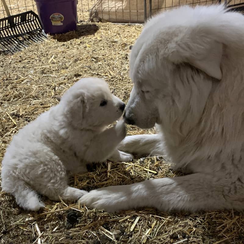 nMACED6PZAD7FDq3rraazV From Heartbreak to Achievement: Our 2025 Story