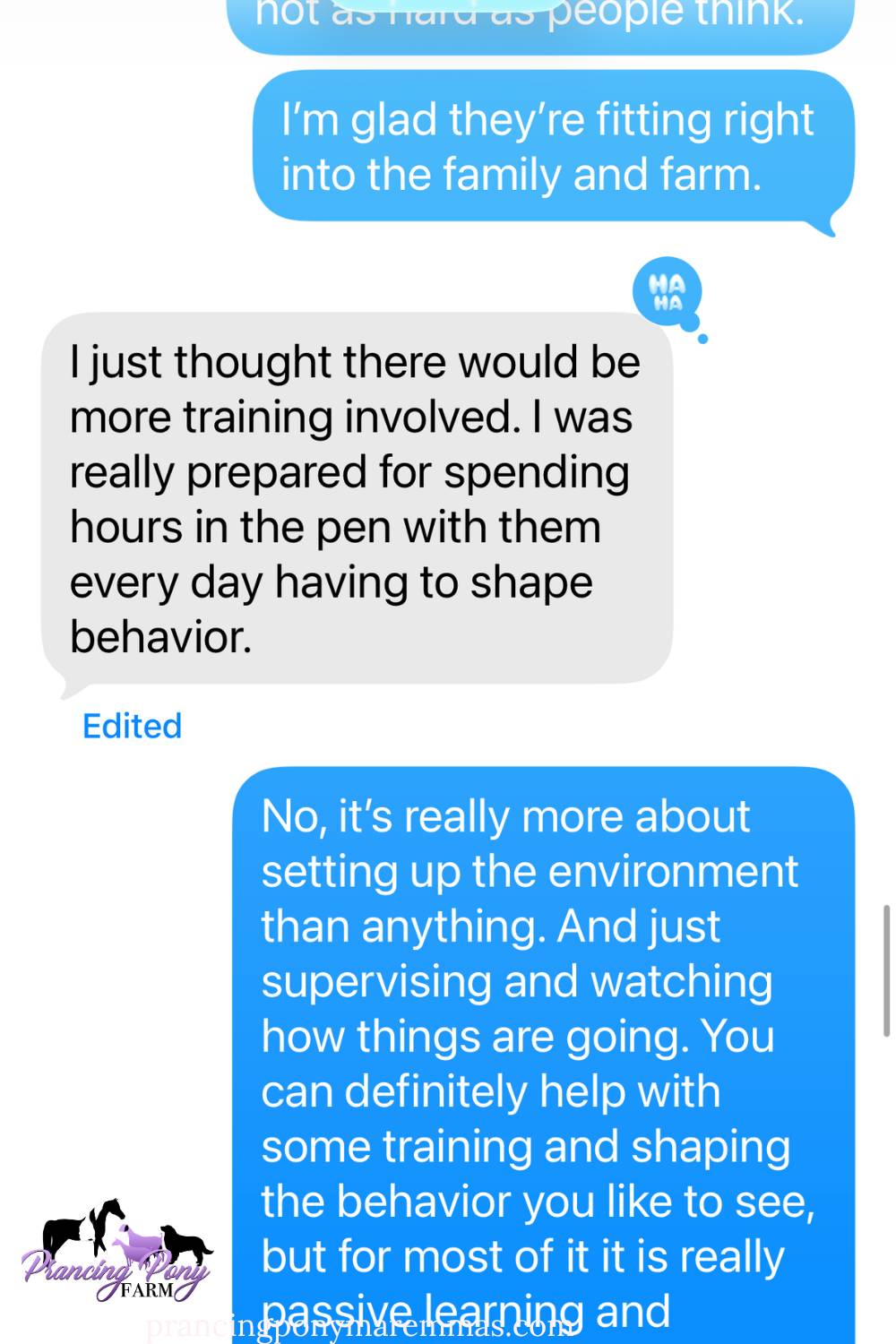 He almost bought cheaper. Then she told him he asked too many questions.