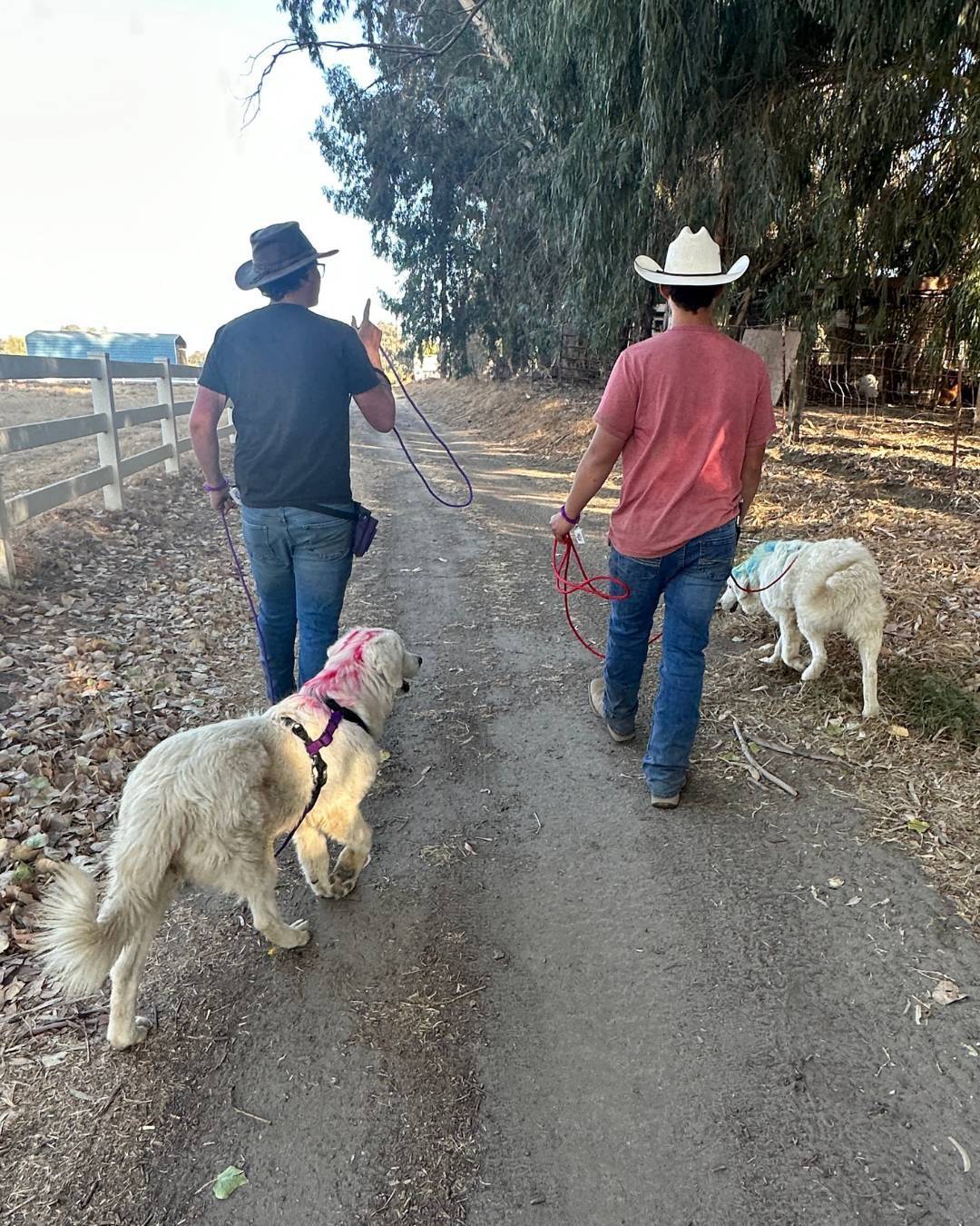 pBSF4tyzoWoNsBmys5v8hr What 95% of my clients have in common (it's not what you think)