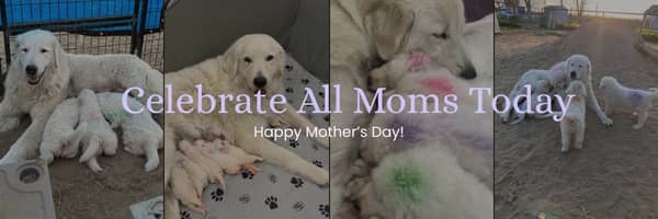qbjqhEm4uhuVa4wfUBNFq6 Celebrating Moms of All Species This Mother's Day