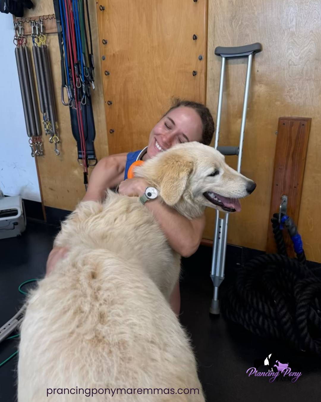 s3Aq6FnqvWkdaPGhtEUto1 How Caia Traveled 2,500 Miles to Her Forever Home in Maui 🌺