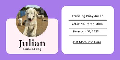 email 🐑🐐 You're thinking about spring all wrong (and it could cost you)