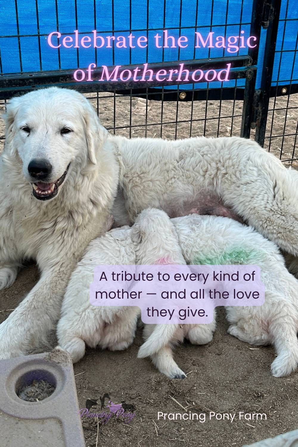 email Celebrating Moms of All Species This Mother's Day